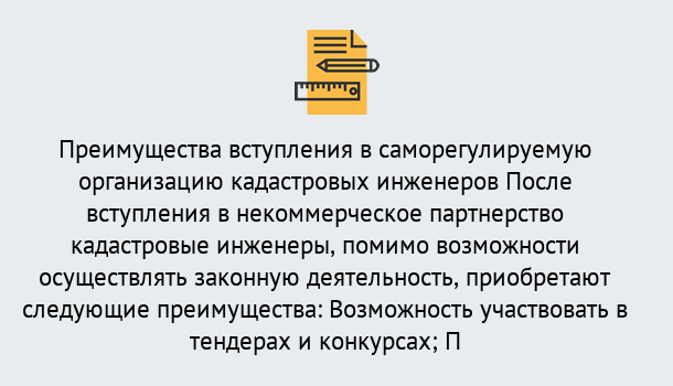 Почему нужно обратиться к нам? Ахтубинск Что дает допуск СРО кадастровых инженеров?