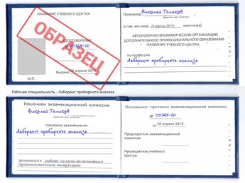 Обучение Лаборант пробирного анализа