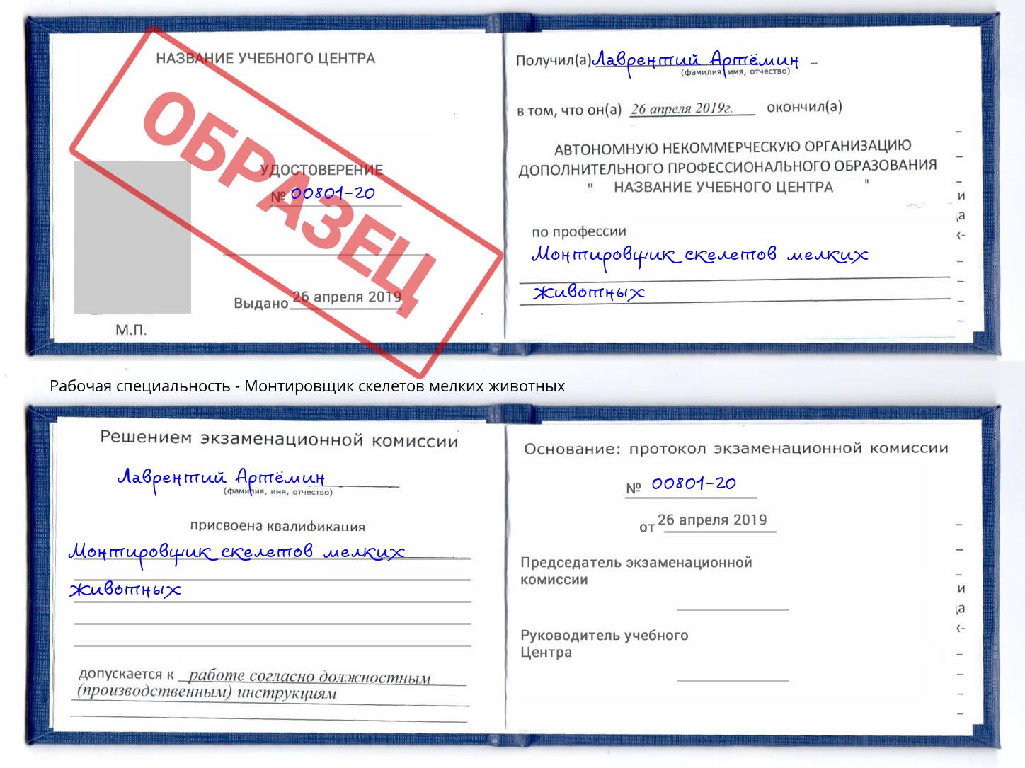 Монтировщик скелетов мелких животных Ахтубинск